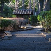 夕方帰り道