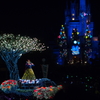 Tokyo Disneyland