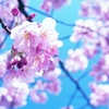 春日和