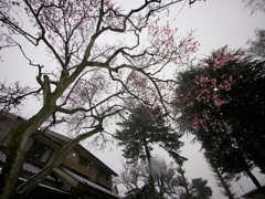P2043746