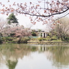 平和