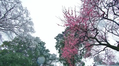 WinterSKY