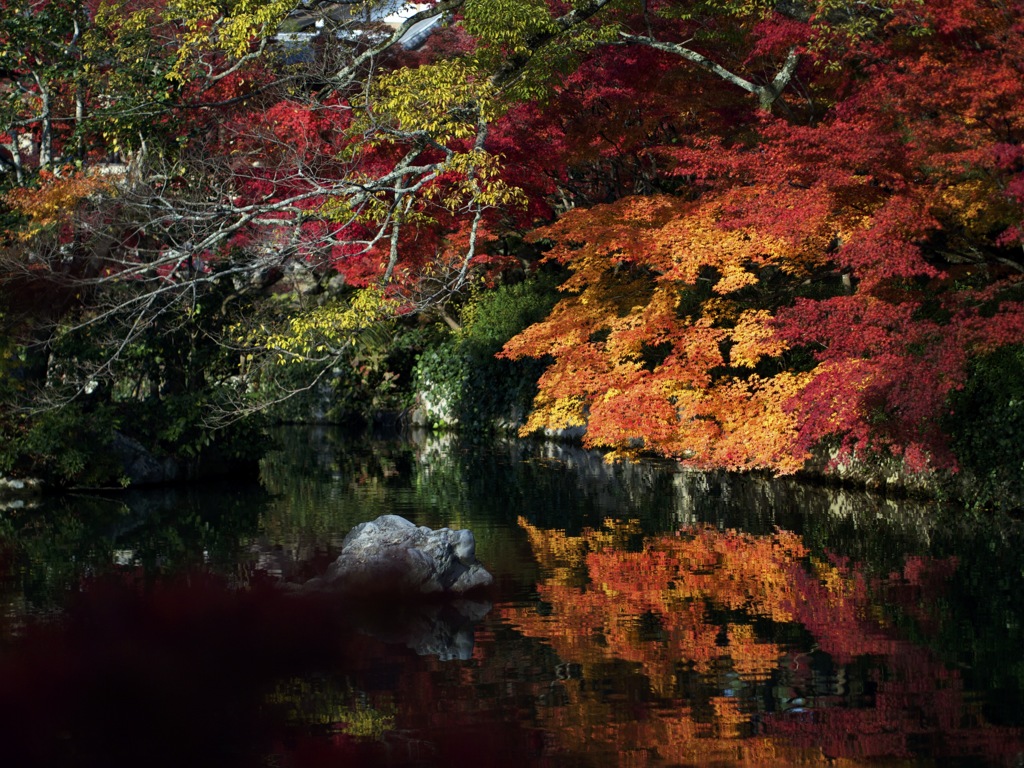 池に紅葉