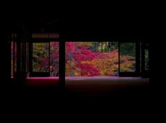 そうだ京都、いこう