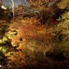 六義園