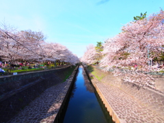 善福寺川緑地公園