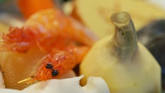 正月の