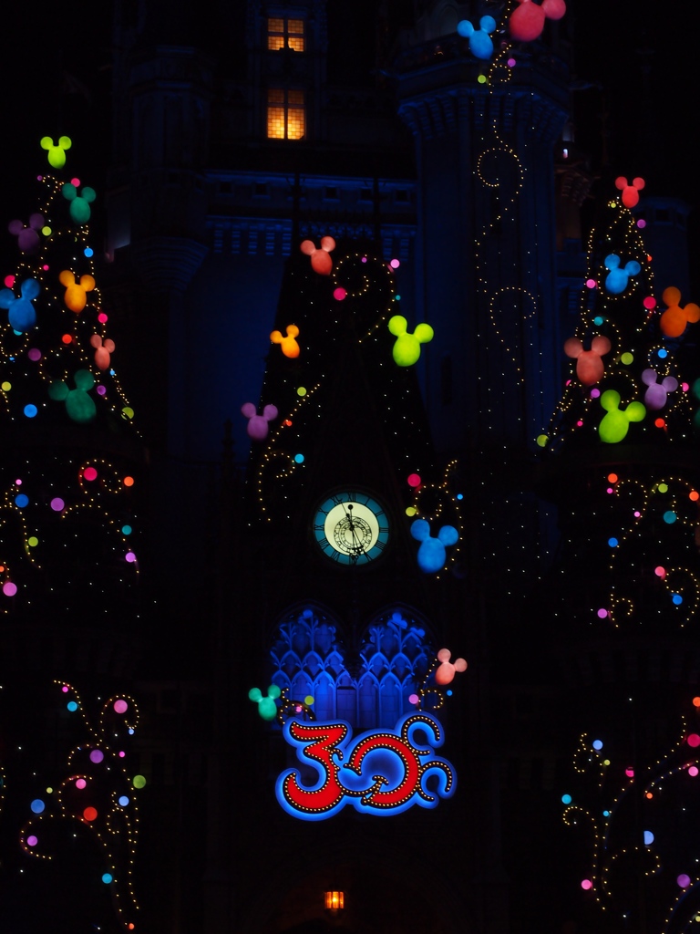 Tokyo Disneyland