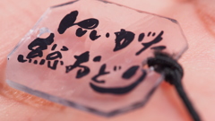 にいがた総おどり