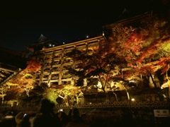清水の紅葉