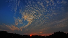 とある日の都会の空