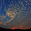 とある日の都会の空