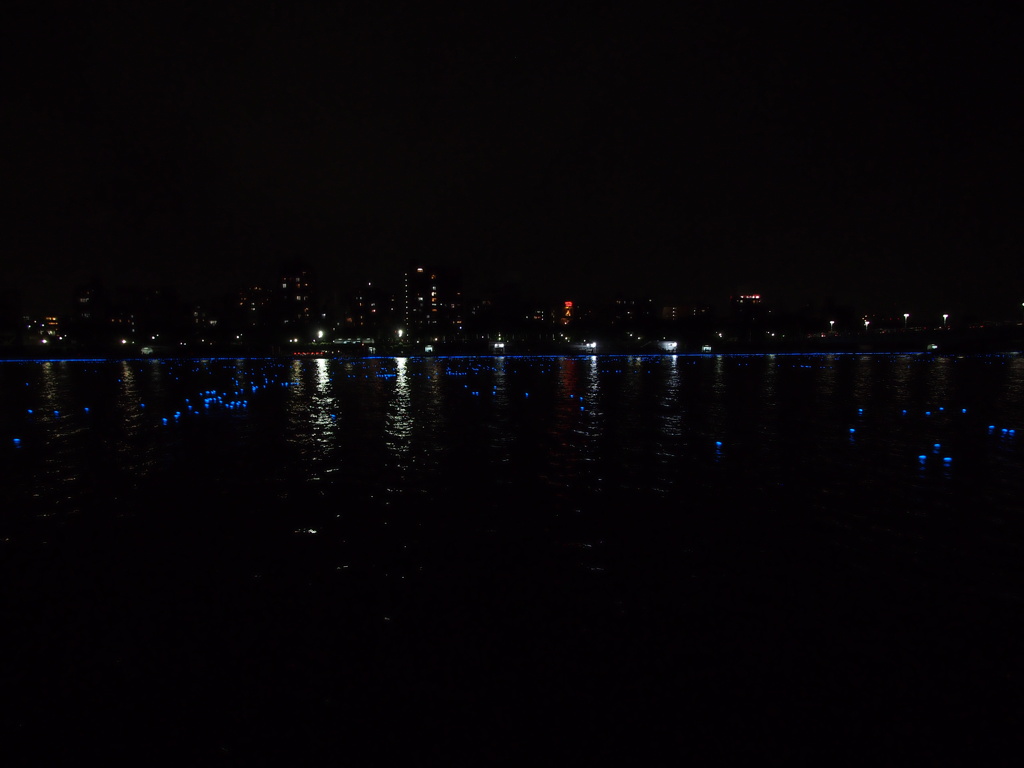 東京ホタル