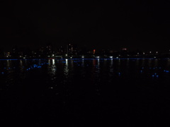 東京ホタル