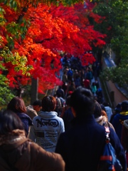 金閣寺