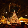 Tokyo Disneyland