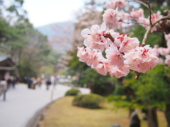 お伊勢参り