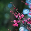 香り