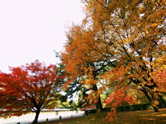 京都御苑