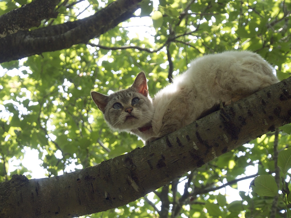 Favorite position♫