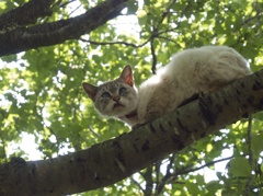 Favorite position♫