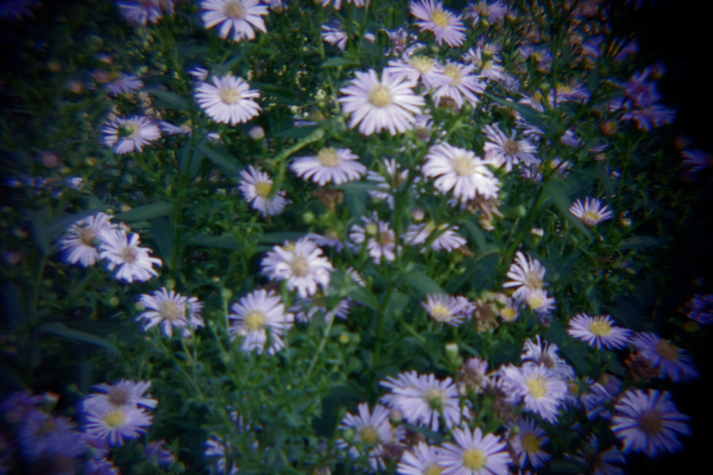 幻想Holga-04