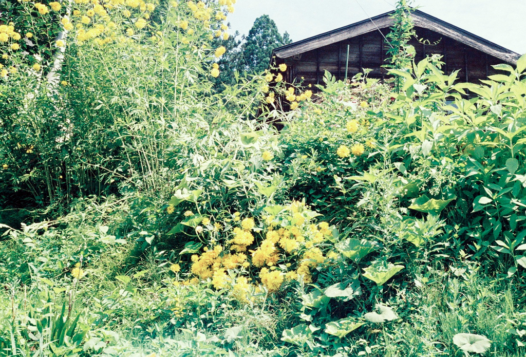 花壁