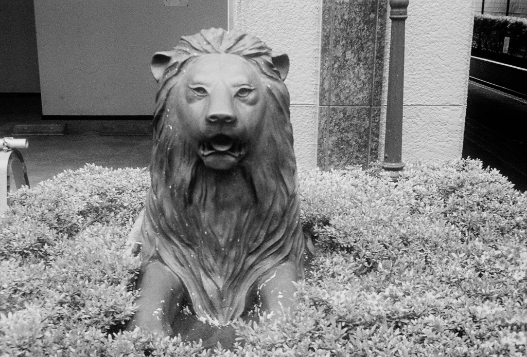 百獣ノ王
