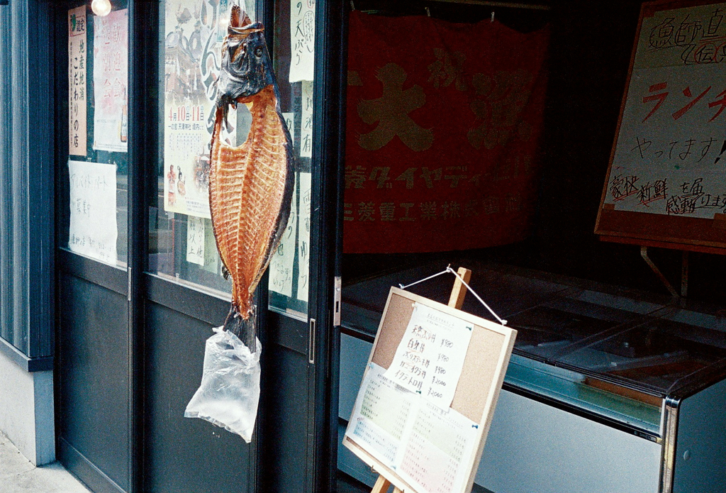 翡翠街散歩16