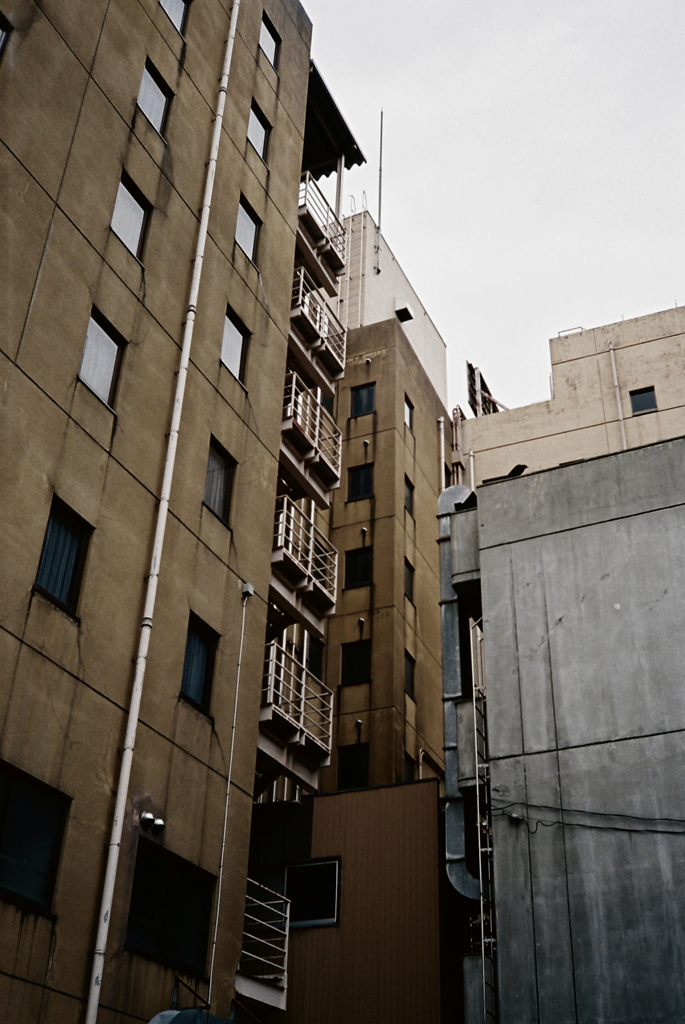古株達