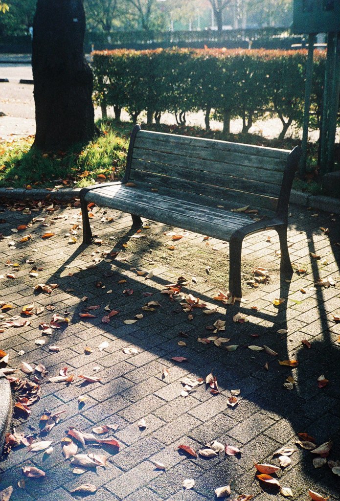 公園ベンチ-1