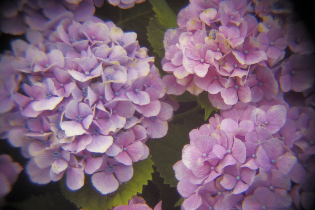 幻想Holga-02