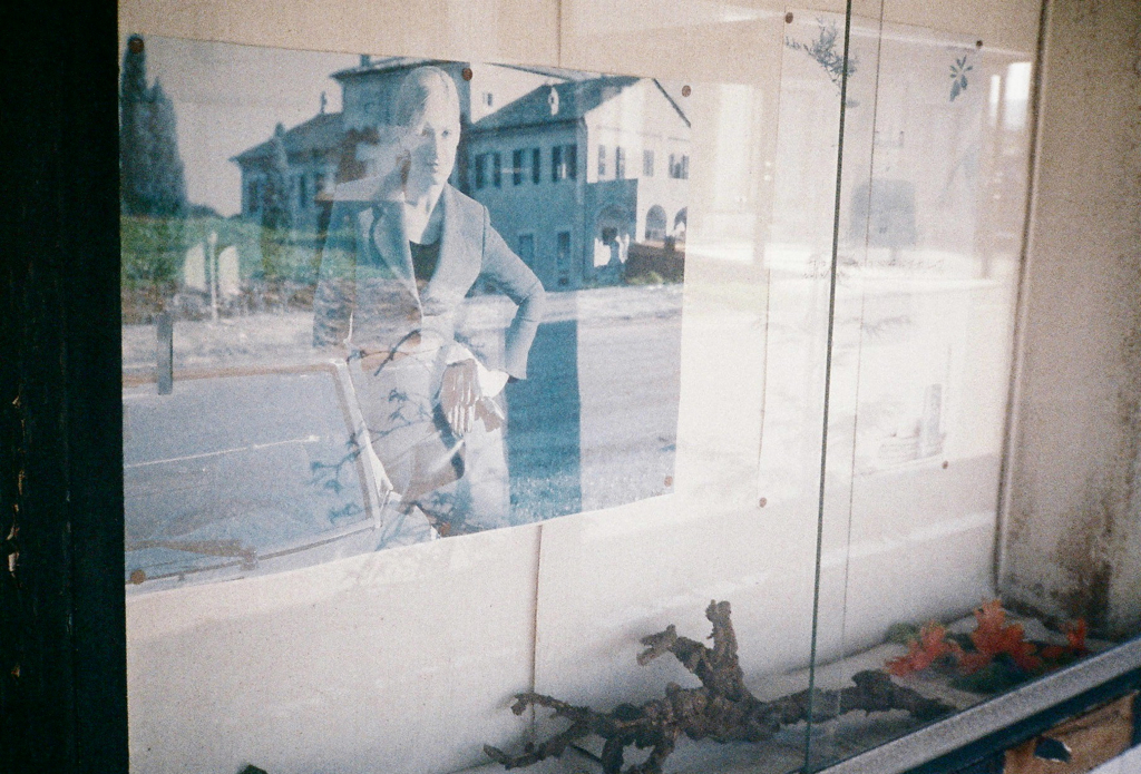 WINDOW DISPLAY-06