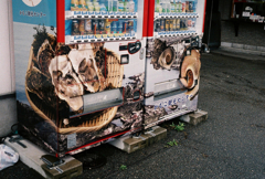 生牡蠣自販機