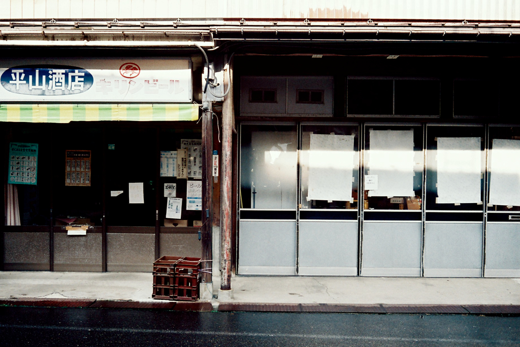 GANGI-24