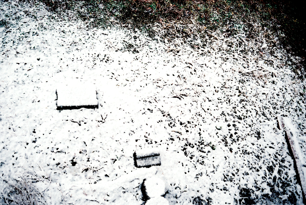 雪文