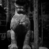 hunter-04