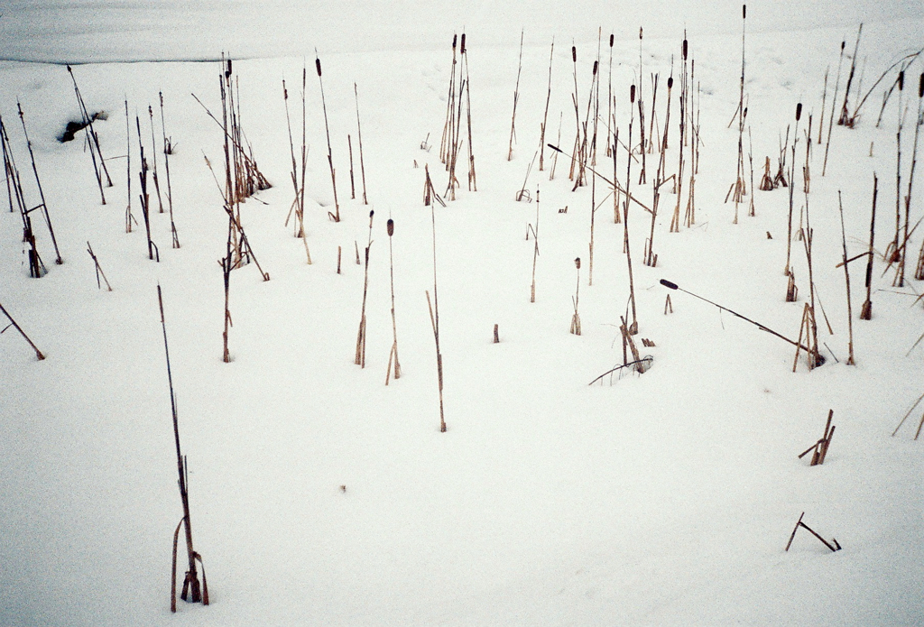 雪ト茅