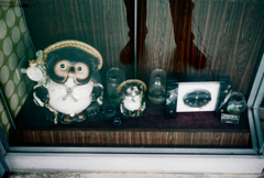 WINDOW DISPLAY-01