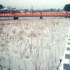 蓮見橋