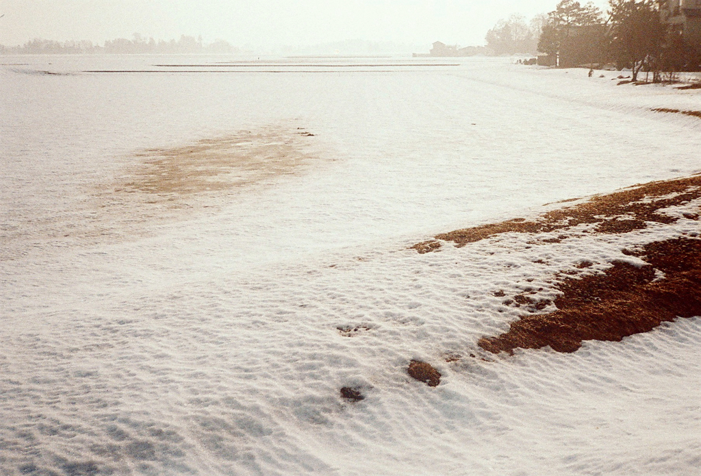 雪解