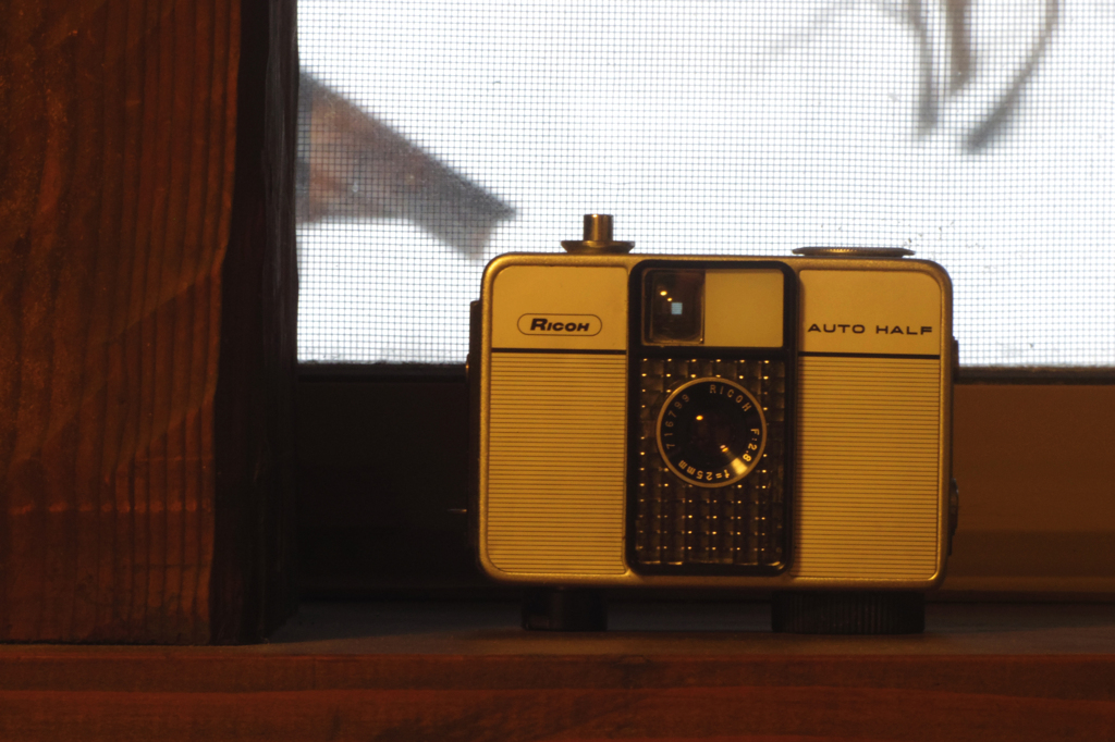 ハーフが好き-11