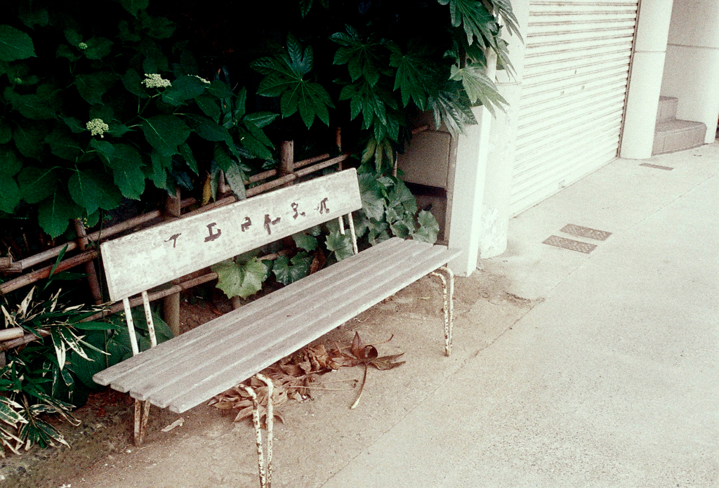 白ベンチ