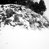 初雪斑