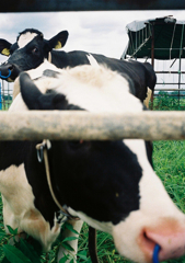 MOOMOO2