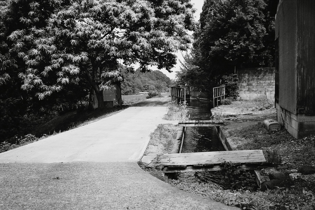 水路脇ノ道