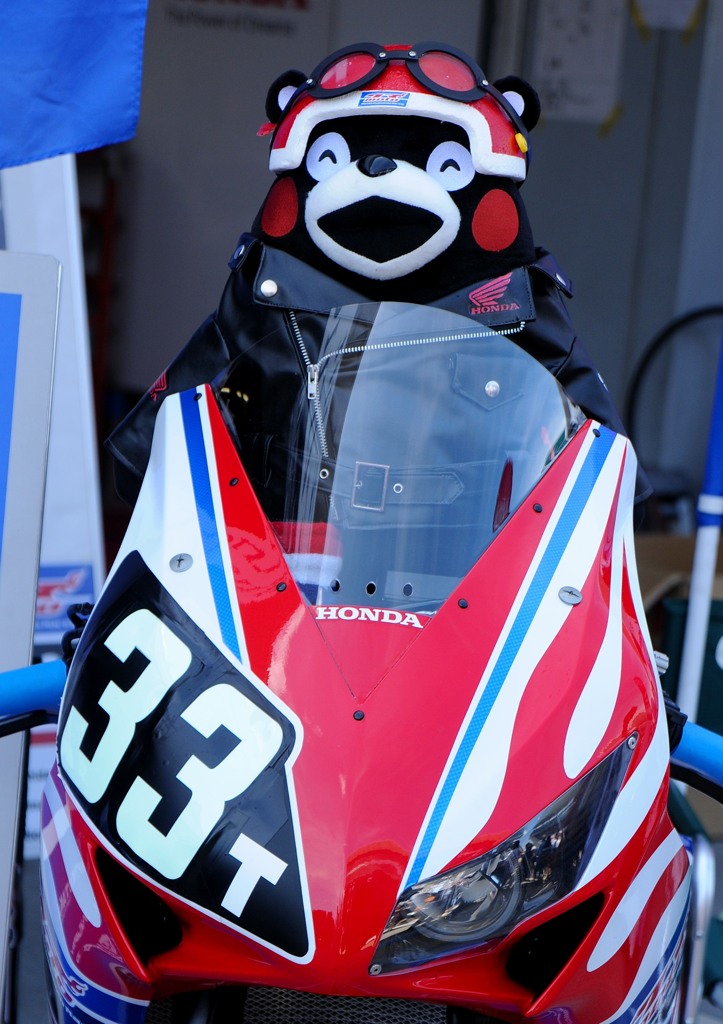 RIDER くまモン！？