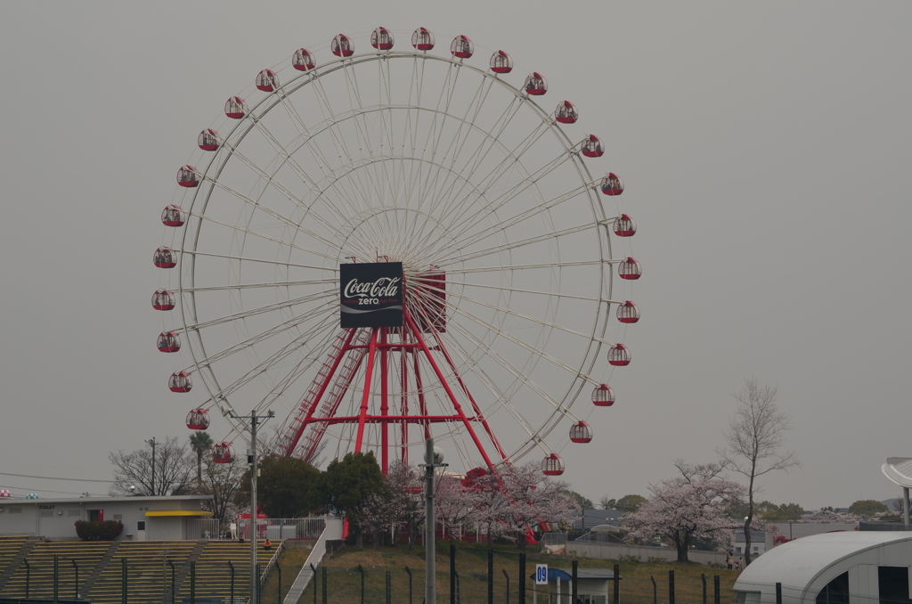 suzuka サンデーロードレース　1 1100