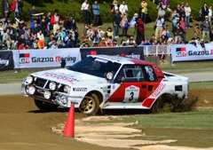 新城ラリー2013 204