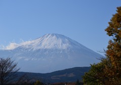 JAF Grand Prix  FUJI SPRINT CUP 2013 2 1